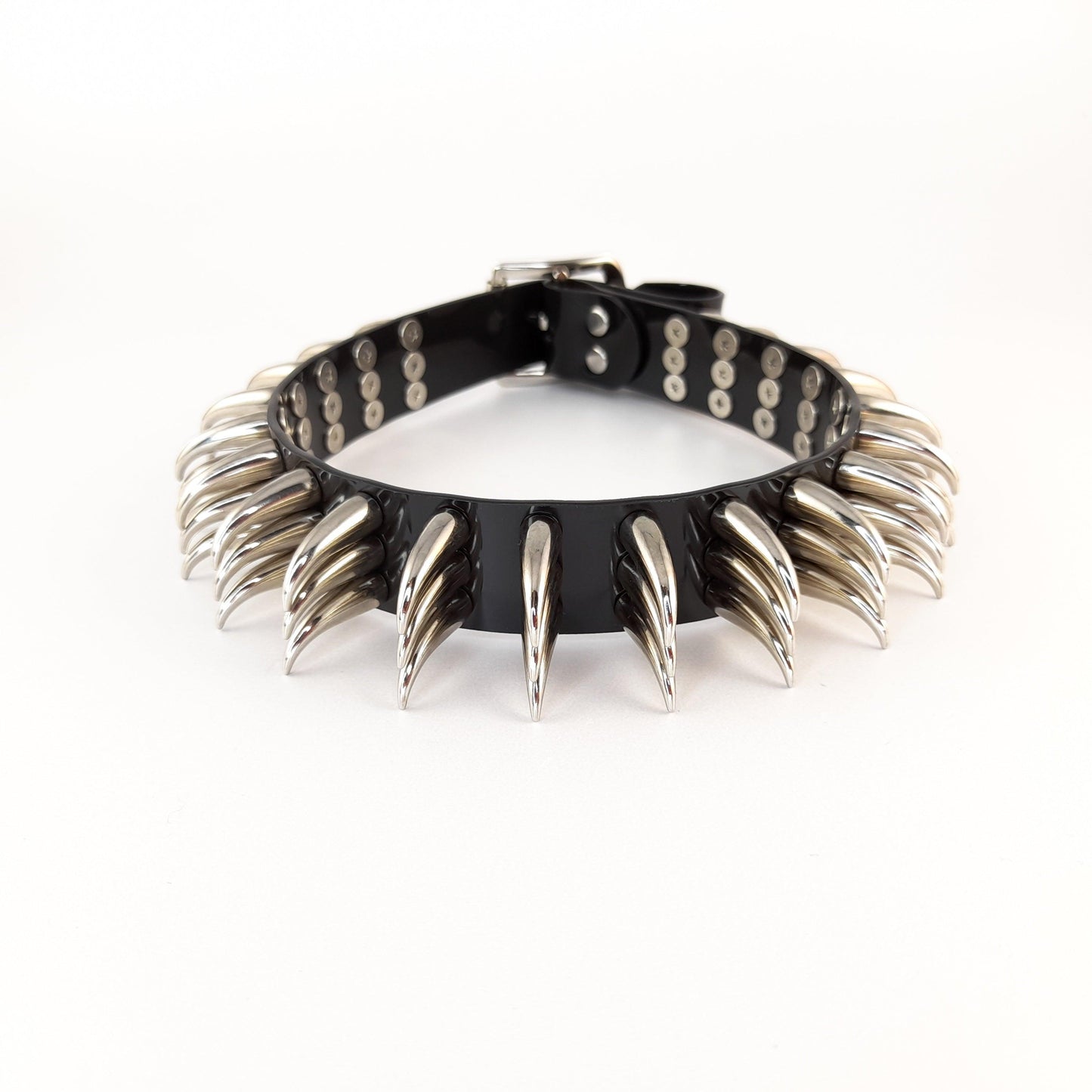 Reptile - zalexandra