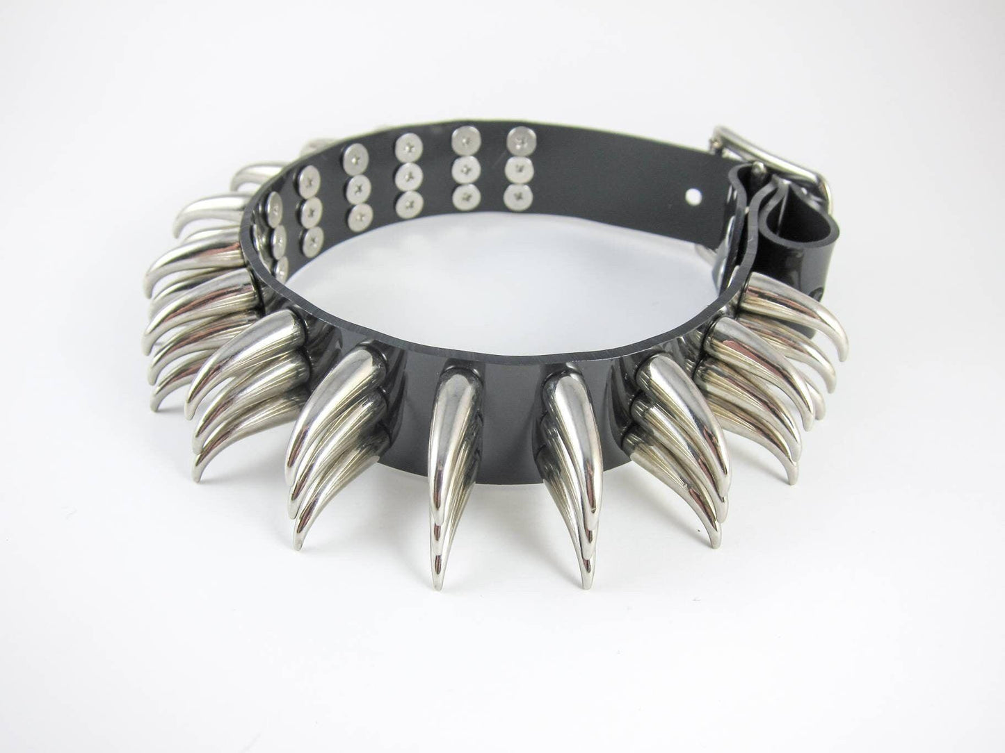 Reptile - zalexandra