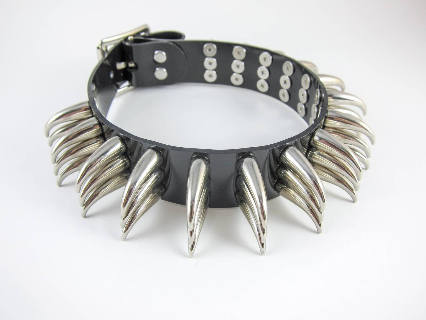 Reptile - zalexandra