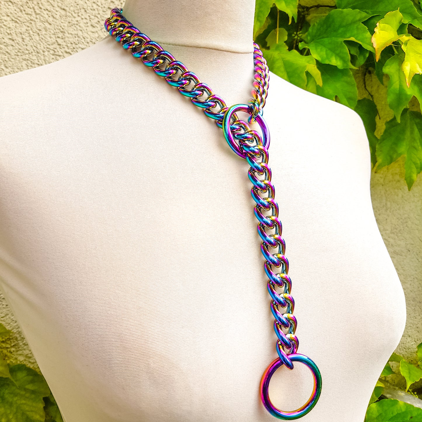 Carnal Rainbow O Ring Slip Chain Necklace