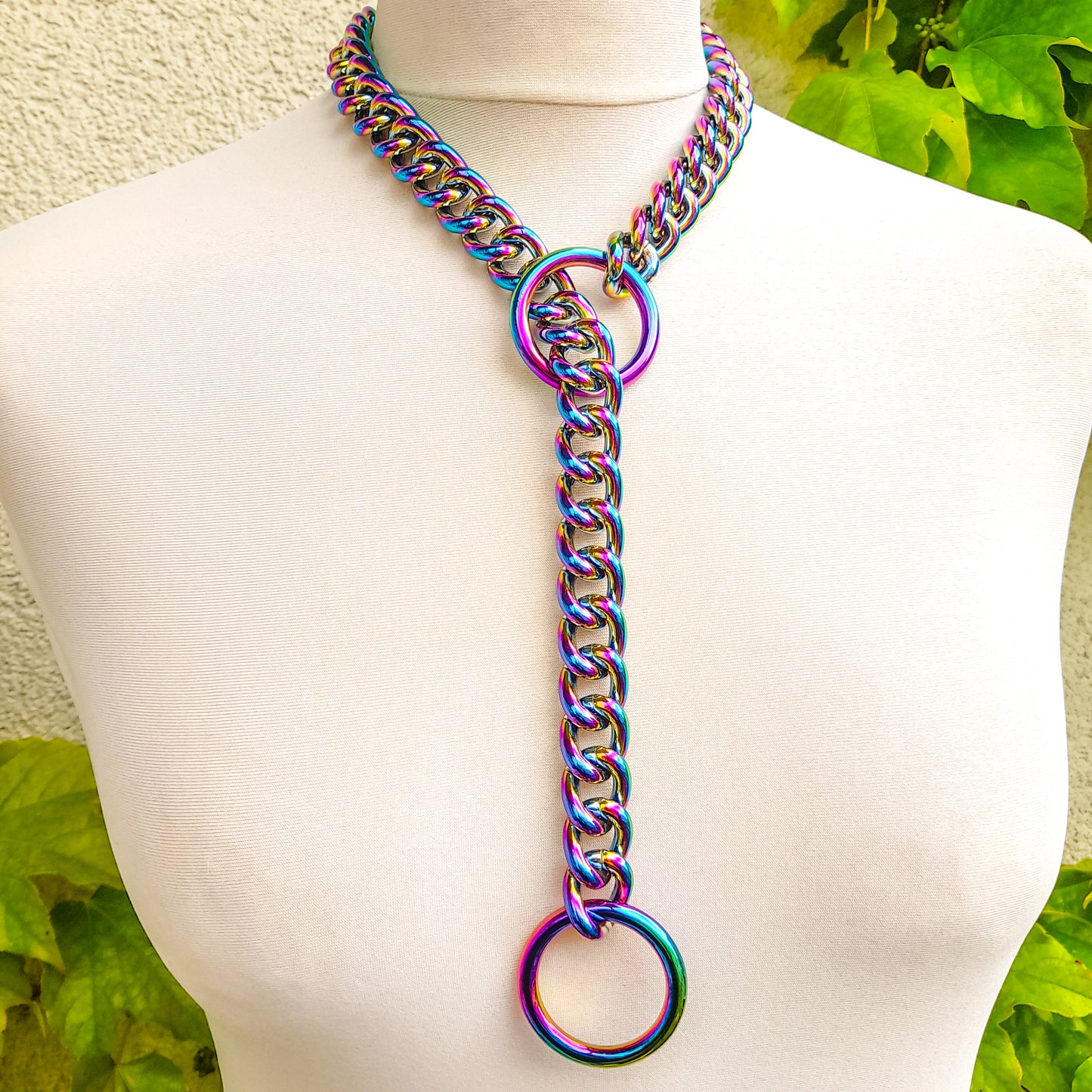 Carnal Rainbow O Ring Slip Chain Necklace