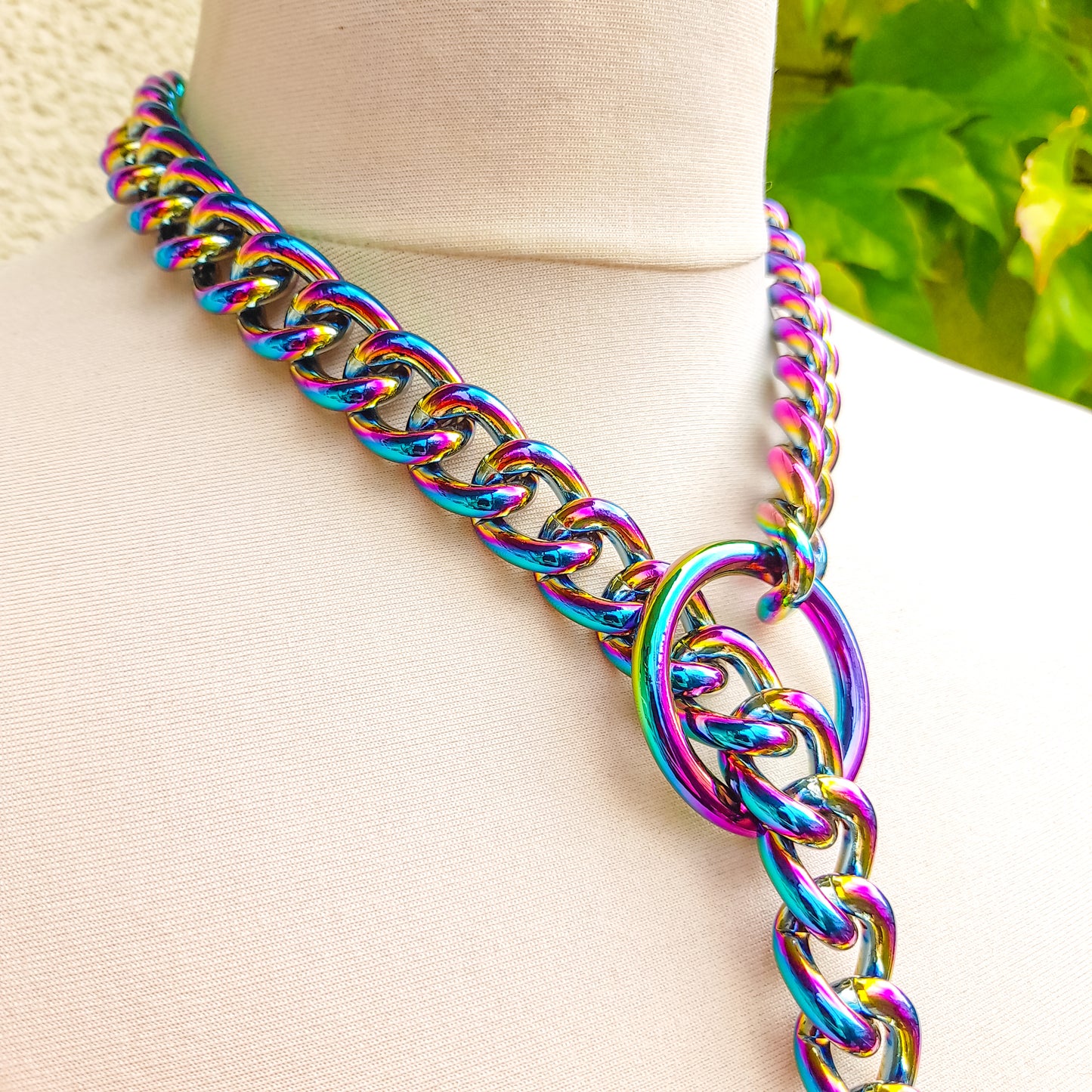 Carnal Rainbow O Ring Slip Chain Necklace